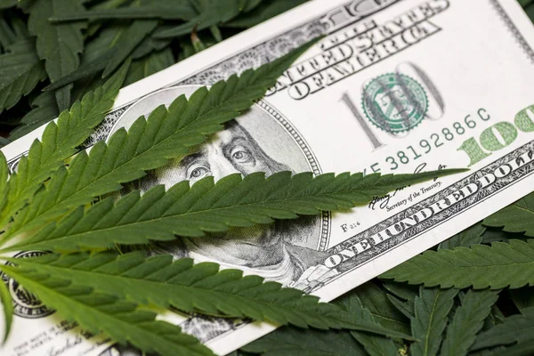 Cannabis medical marijuana leaf on one hundred dollar bills. A sheet of marijuana for money, dollars and cannabis, a legal and black market business — Stock Photo, Image