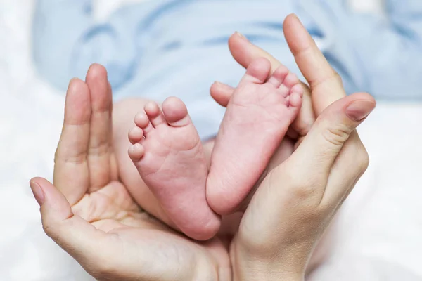 Babyfüße in den Händen der Mutter. Mutter und ihr Kind. Glückliches Familienkonzept. konzeptionelles Bild der Mutterschaft — Stockfoto