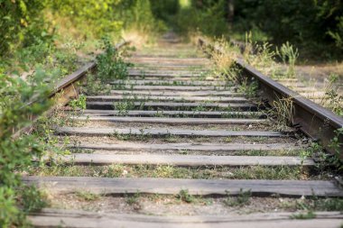 Eski, paslı, terk edilmiş demiryolu rayları, uzaklara uzanıyor. Ulaşım arka planı. Çimler demiryolu nun etrafında yetişir. Terk edilmiş demiryolu
