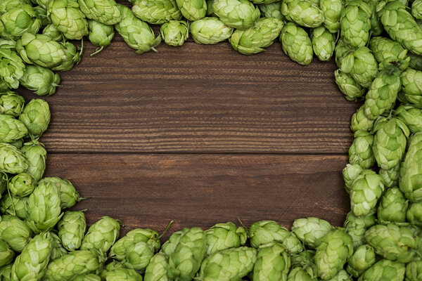 Fresh green hops on a wooden background. Green hop cones with wooden slate frame background