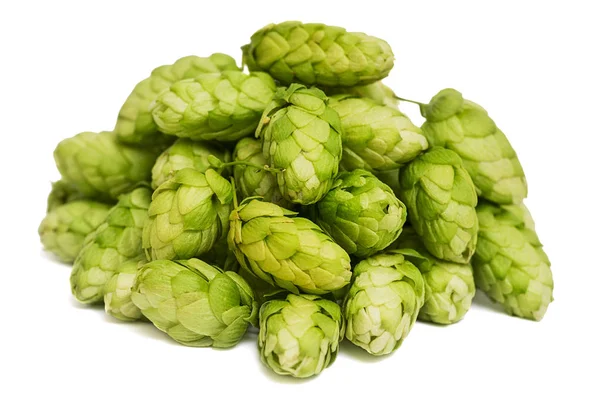 Heap av grön hop isolerad på vit bakgrund. Högen humle, ingrediens för bryggeriindustrin — Stockfoto