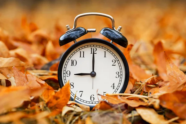 Conceito de outono. Relógio de alarme preto sobre um fundo de folhagem amarela caída. Temporada de outono — Fotografia de Stock