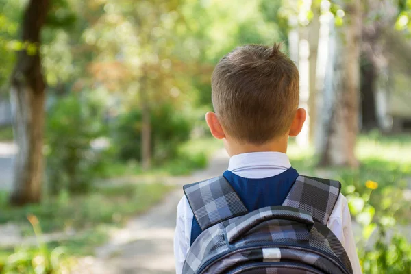 The child goes to school with a backpack. Schoolboy goes to school in the morning. Happy child with a briefcase. Back to school.