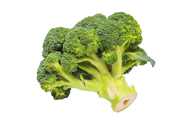 Brokolice Izolovaná Bílém Pozadí Větev Čerstvé Zelené Brokolice Zdravé Jídlo — Stock fotografie