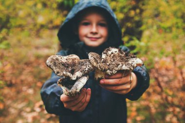 Çocuk elinde mantar tutuyor. Ormanda mantar arıyorum. Çocuk sonbaharda ormanda elinde büyük mantarlar tutuyor. Orman mantarı toplama mevsimi.