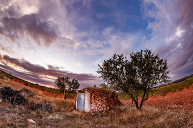 İki ağaç tarafından çerçevelenmiş, dinamik ve geniş açılı taştan bir kulübe. Sahne, alacakaranlığın serin, yumuşak ışığında yıkanıyor. Yukarıdaki gökyüzü, solan günbatımından gelen pembe ve turuncu çizgilerle vurgulanmış koyu mavi ve mor renkli bir tuval. Kuru, wi