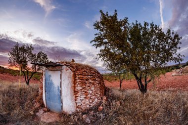 Küçük, geleneksel bir taş barakanın yakın, dinamik bir görüntüsü. Alçak güneş desenli, kırmızımsı kahverengi taşları ve yıpranmış, beyaz boyanmış metal kapıyı aydınlatır. Barakanın yanında canlı yeşil bir ağaç duruyor, kırmızı toprak ve üzümlerle dolu bir tarlası var.