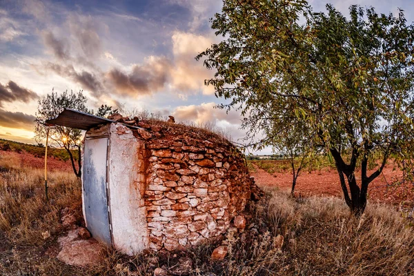 Bükülmüş metal çatılı, küçük, geleneksel bir taş barakanın yakın, dinamik bir görüntüsü. Alçak güneş desenli, kırmızımsı kahverengi taşları ve yıpranmış, beyaz boyanmış metal kapıyı aydınlatır. Canlı yeşil bir ağaç kulübenin yanında duruyor, bir tarlası olan...