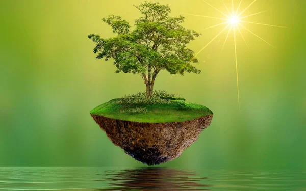 tree with a small island, tree in the water, tree in a pot
