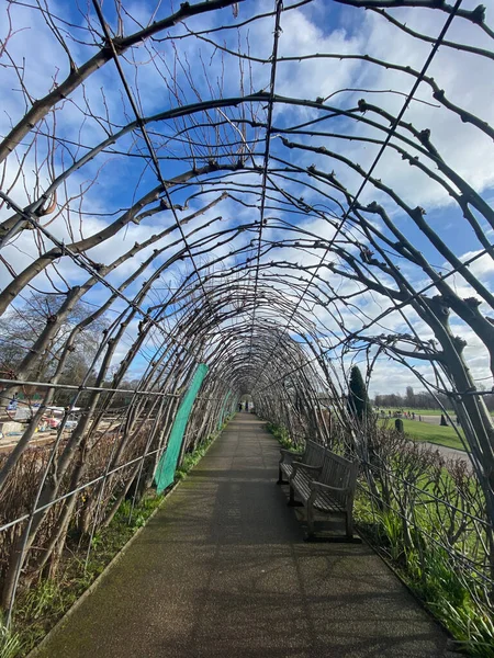 Londra 'daki Hyde Park' ta bahar mevsimi