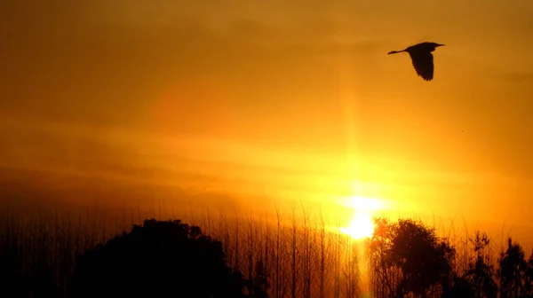 Sis sırasında gün batımının görüntüsü.