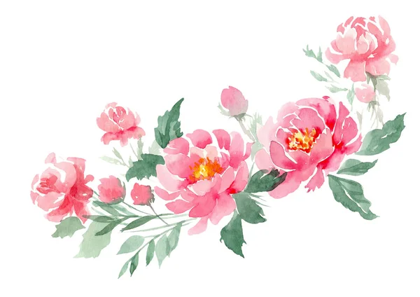 Watercolor flowers. Pink peonies on a white background.