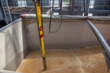 Tahıl örnekleme işlemi. Otomatik tahıl örnekleme için bir yol taşıma aracının gövdesinden istasyon görüntüsü.