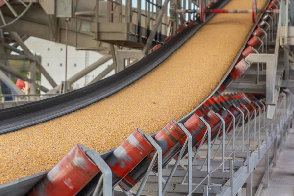 Grain Moves General Conveyor Belt Rollers Maintenance Area — Stock Photo, Image