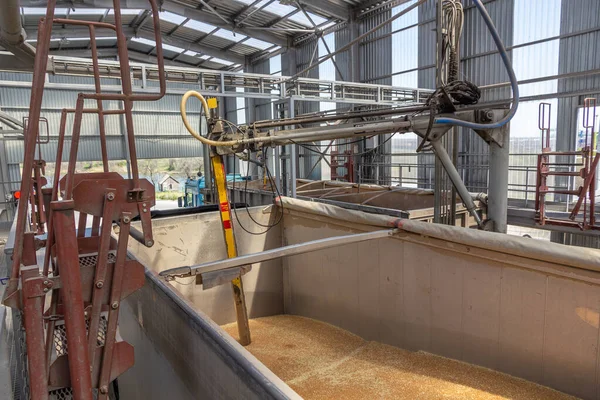 Grain sampling process. View of a station for automatic sampling of grain from a road transport vehicle body.