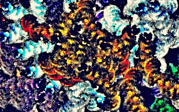Fondo Psicodélico Abstracto Colores Caóticamente Dispuestos Entrelazados Telaraña Líneas Delgadas — Foto de Stock