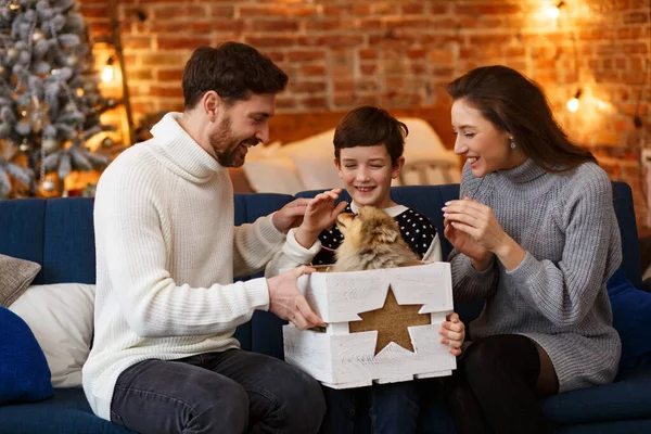 Parents presenting gift box with Pomeranian Spitz dog to cute son. Happy family spending Christmas morning together. Winter holidays, Christmas celebrations, New Year concept