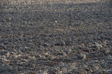 Zengin, siyah midwestern toprak sürülmüş alana bahar ekime hazır