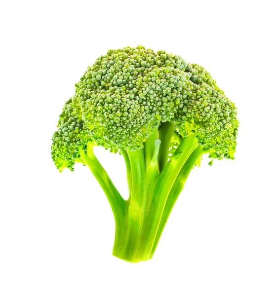 Broccoli Fondo Bianco — Foto Stock