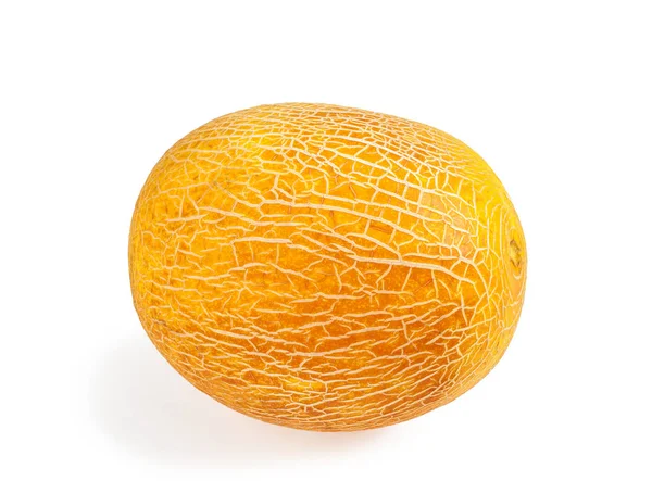 Ripe Yellow Melon Isolated White Background — Stock Photo, Image