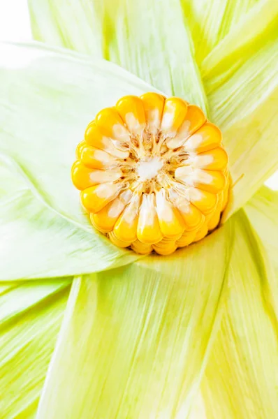 Żółty Słodki Ucho Kukurydzy Białym Tle — Zdjęcie stockowe