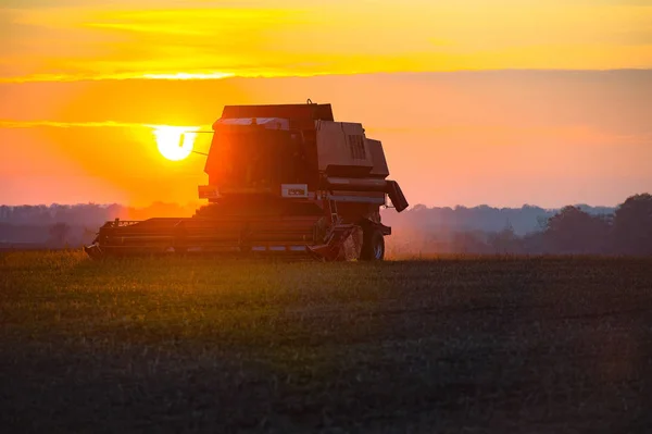 harvester harvesting on the field at sunset