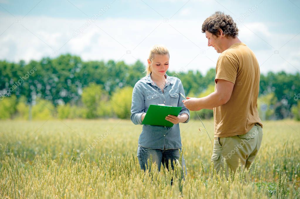 Farmer and agronomist discussing about future crop of wheat, at the field