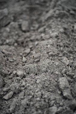 Çiftçilik taze satır kara toprağı alan ekili