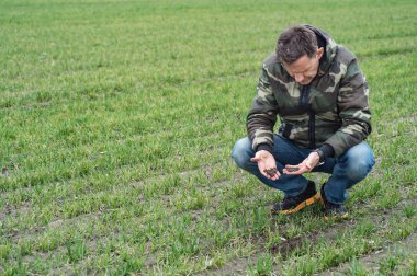 Tarım alanı büyümek kadar genç hububat spring adlı bir adam ziraat mühendisi denetler