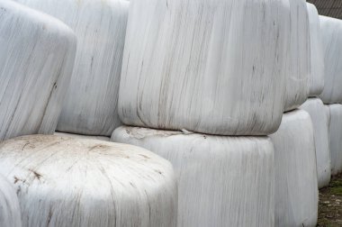 , haymaking. Saman temiz ve emanet film (vakum ambalaj, saman balya) kış depolama, saman, haylage, devlet saman satın alma, Pvc film ambalaj ile kaplıdır