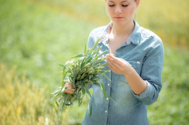 Ziraat Mühendisi veya buğday kulaklara seyir çiftçi