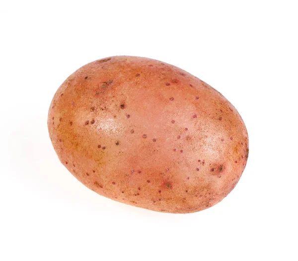 Fresh Raw Potato Isolated White Background — Stock Photo, Image