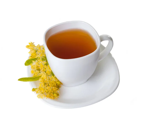 Чашка Травяного Чая Липовыми Цветами Белом Фоне — стоковое фото