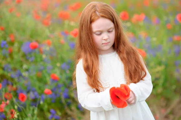 Portret Dziewczyny Słodki Dzieciak Stały Czerwony Dzikie Kwiaty Włosach Pobliżu — Zdjęcie stockowe