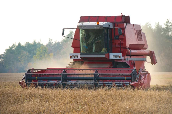 Hasat Alanı Hazır Yoluyla Mows Gibi Toz Soya Saman Arkasında — Stok fotoğraf