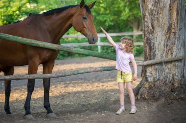 Mutlu küçük kız t çitin yanında duran bir at okşayarak
