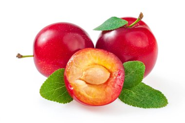 yaprak izole kırmızı erik