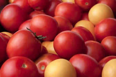 arka plan olarak sarı ve kırmızı domates. Seçici odaklama.