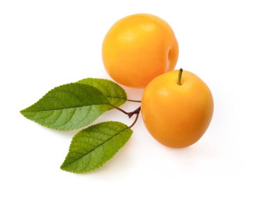 Beyaz arkaplanda yaprakları olan sarı erik