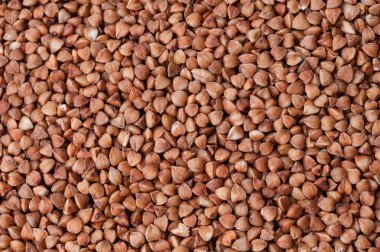 Taze karabuğday. kuru karabuğday arkaplanı.