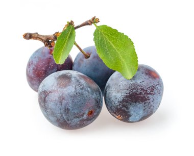 Yapraklı olgun erikler