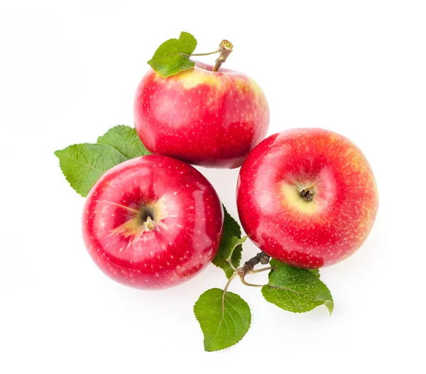 Felülnézetből Izolálja Vörös Almákat Levelekkel — Stock Fotó