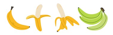 Soyut muz seti. Basit muz. Meyve suyu, meyve suyu veya sağlıklı yiyecek için organik tropikal meyve. İçi, poster, pankart için tropikal meyve koleksiyonu tasarımı. Beyaz arkaplan üzerine vektör illüstrasyonu