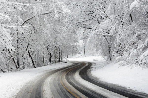 View on a beautiful road in winter - nature