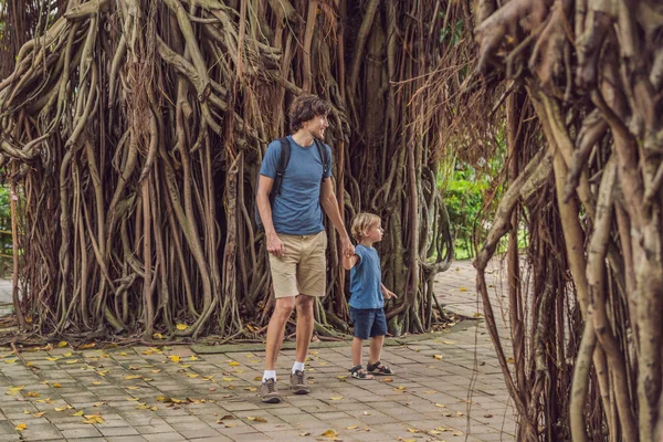 Táta a syn v deštivé lese na pozadí kořeny stromu — Stock fotografie
