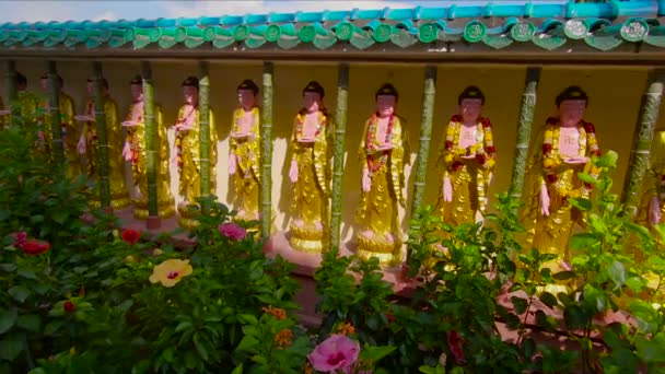 Renkli Çiçeklerle Binalar Tayland Güzel Eski Yerde Görünümünü — Stok video