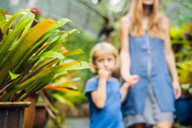 Anne ve oğlu tropikal parkta yürüyüş.