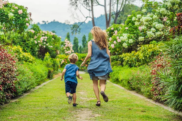 ママと息子は 咲く庭の実行しています 幸せな家族ライフ スタイル コンセプト — ストック写真