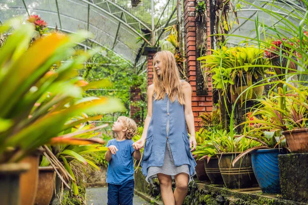 Anne Oğlu Tropikal Parkta Yürüyüş — Stok fotoğraf
