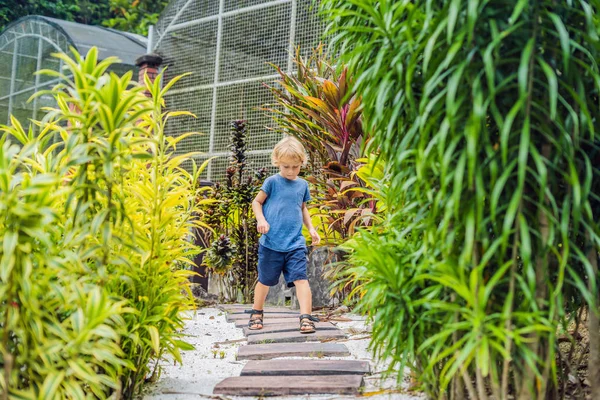 Çocuk Çocuk Tropikal Bir Parkta Bir Yolda Yürüyor — Stok fotoğraf